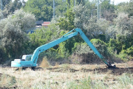 Mederkotrás és tájépítés a Sóstón – az embert és a természetet is szolgálja a rehabilitáció